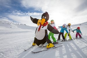 Pinguin BOBO in Ofterschwang